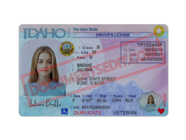 Idaho Driver License PSD Template New f (1)