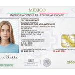 Mexico Consular ID Card