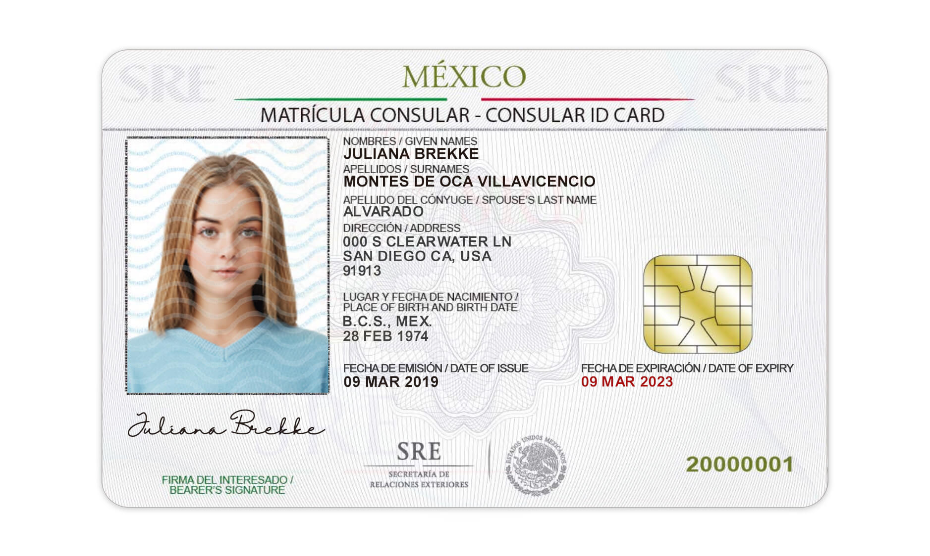 Mexican Id Card Template