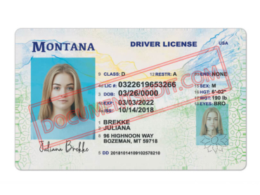 Montana Driving License