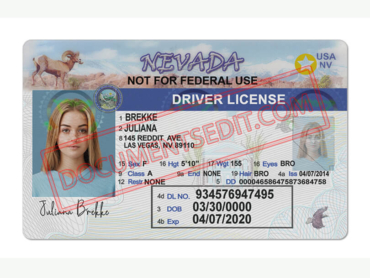 Nevada Driver License