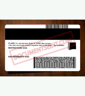New Mexico Driver License PSD Template b