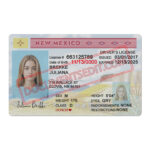 New Mexico Driver License
