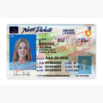 North Dakota Driver License