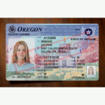 Oregon Drivers License Template (V2) f
