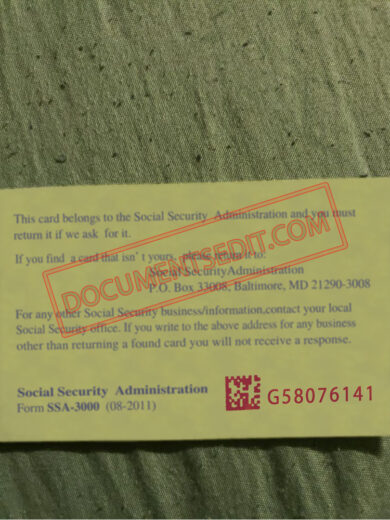 Social Security Card Template 63 b