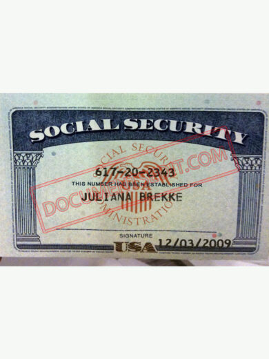 Social Security Card Template 67