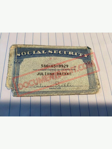 Social Security Card Template 79