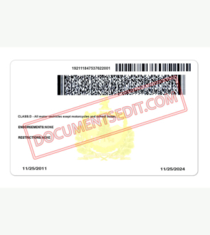 Vermont Driver License Template New b