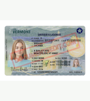 Vermont Driver License Template New f
