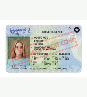 Wyoming Driver License Template New ff