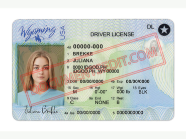 Wyoming Driver License Template New ff