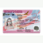 USA Employment Authorization Card