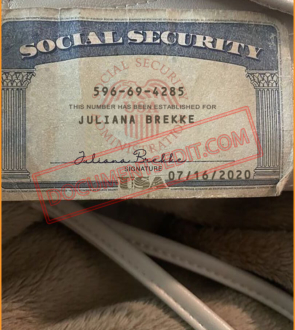 Social Security Card Template 107