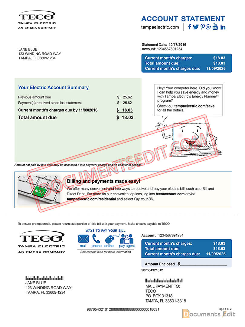 TECO Tampa Electric Account Statement Documents Edit