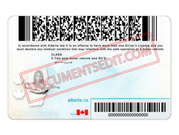 Alberta Drivers License PSD Template2