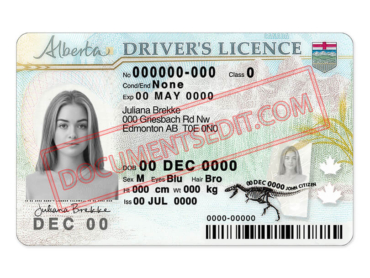 Alberta Drivers License