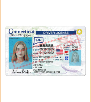 Connecticut Driver License
