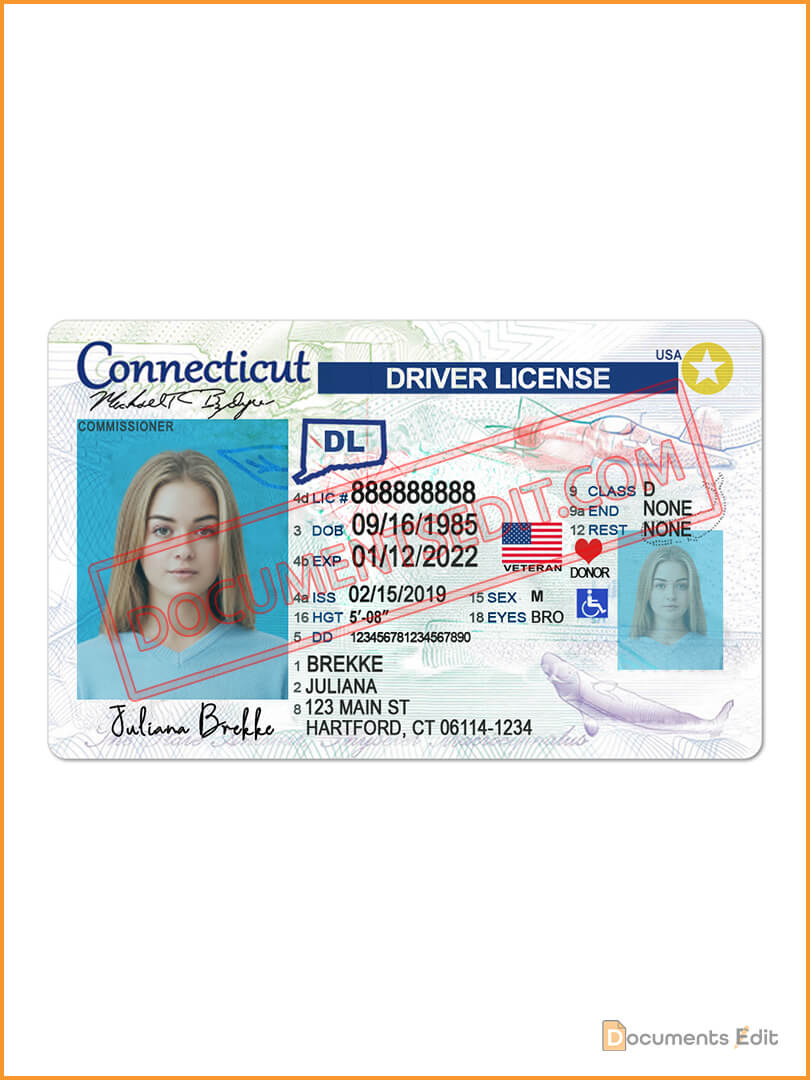 Connecticut Driver License Template (V2) - Documents Edit