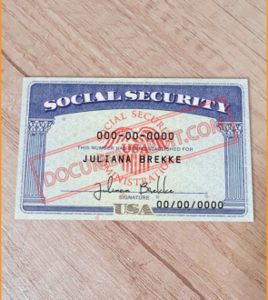 Social Security Card Template 112 - DocumentsEdit 3