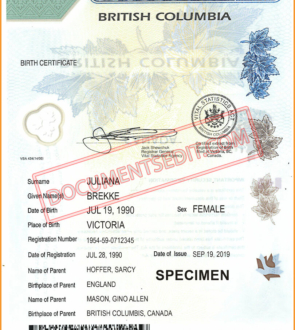 British Columbia Birth Certificate Template2