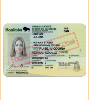 Manitoba Driving License
