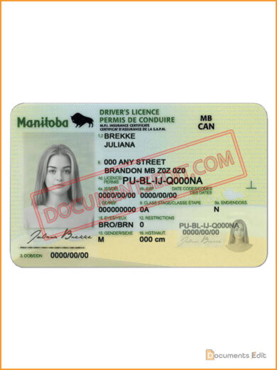 Manitoba Driving License