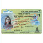 Nova Scotia Drivers License