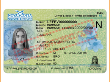 Nova Scotia Drivers License