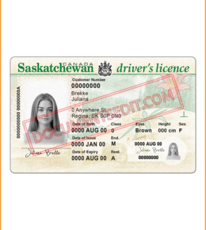 Saskatchewan Driving License