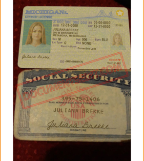 SSN and Michigan Driver License