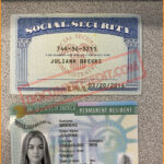 SSN and Permanent Resident Card