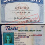 SSN and Texas Identification Card
