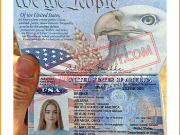 Hand Holding USA Passport
