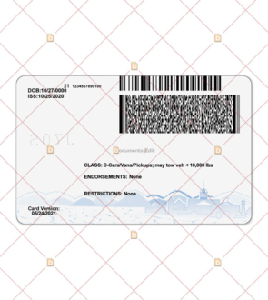 DocumentsEdit - Nevada Driver License PSD Template V2 4