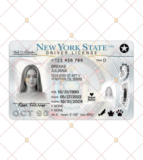 New York Driving License