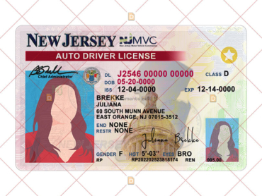 New Jersey Drivers License