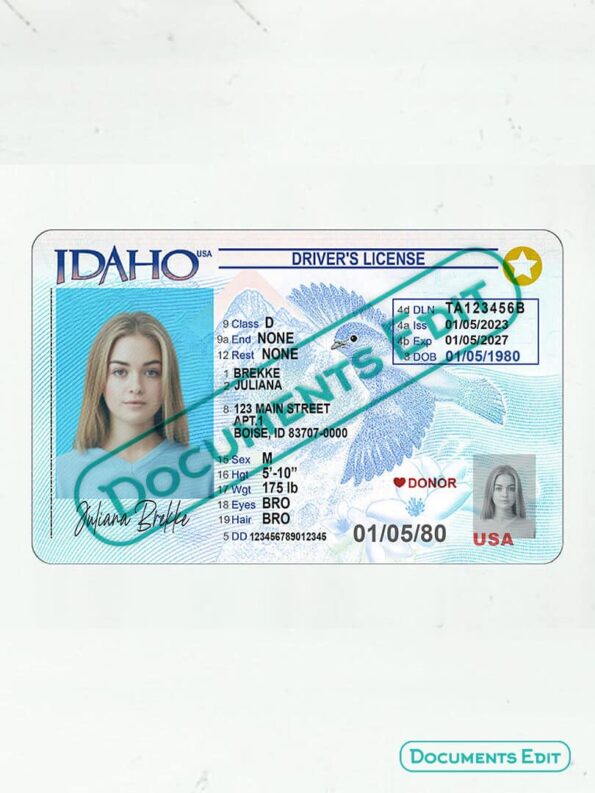 Idaho Driver License