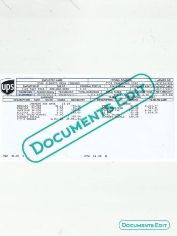 UPS Earnings Statement
